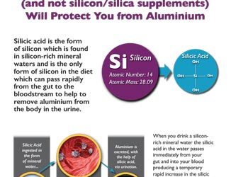 Silicon Fact Sheet